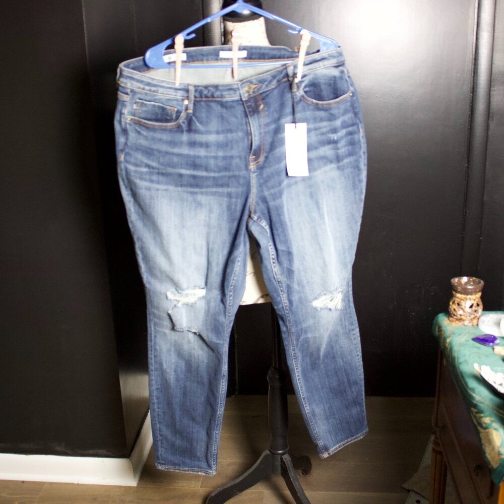 Vigoss Jagger Skinny Jeans 22